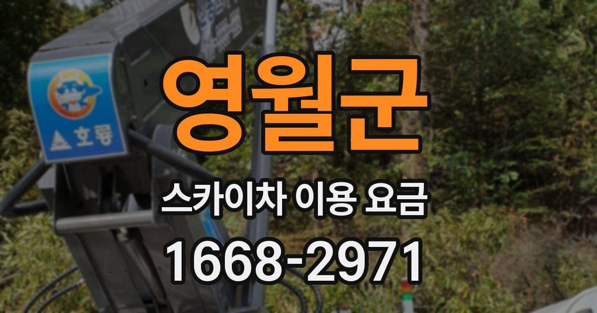 영월군 스카이차 이용 요금