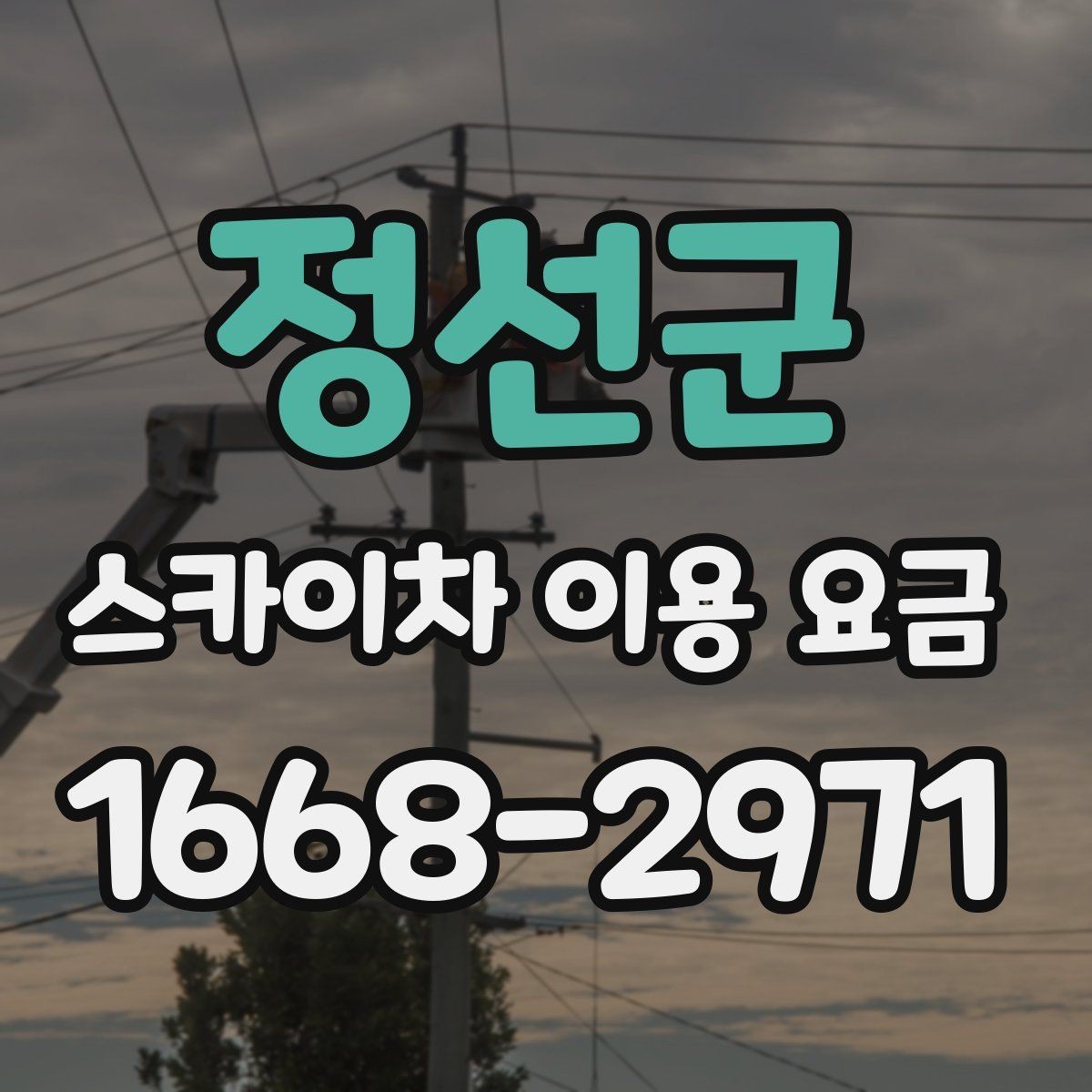 정선군 스카이차 이용 요금 선택 전에 확인할 안전 기준