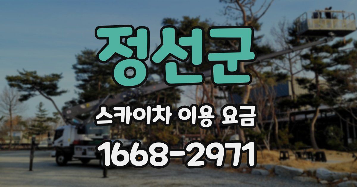 정선군 스카이차 이용 요금