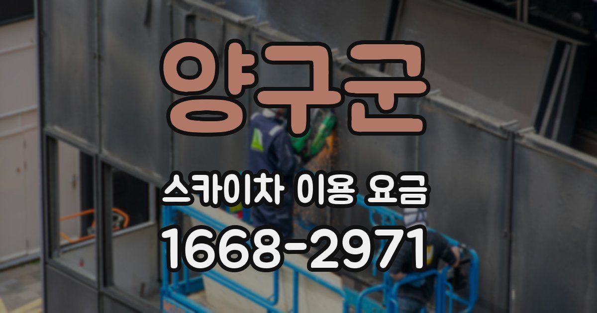 양구군 스카이차 이용 요금