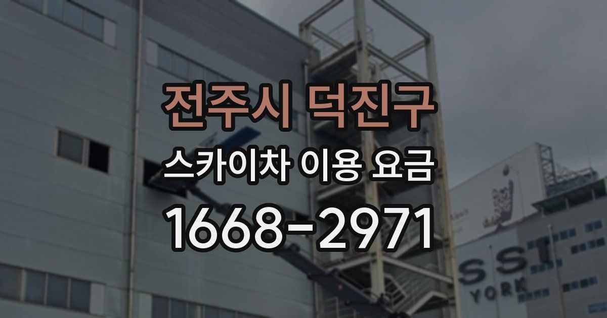 전주시 덕진구 스카이차 이용 요금