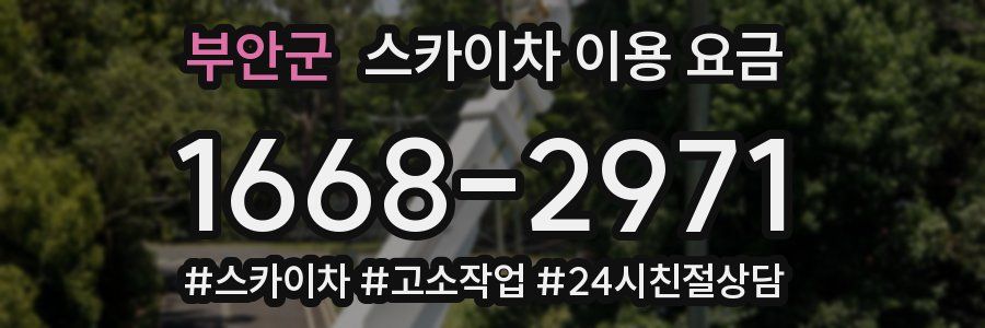 부안군 스카이차 이용 요금