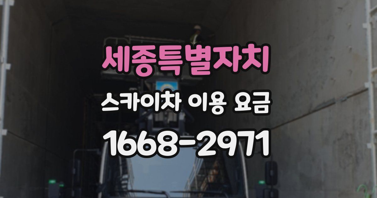 세종특별자치 스카이차 이용 요금
