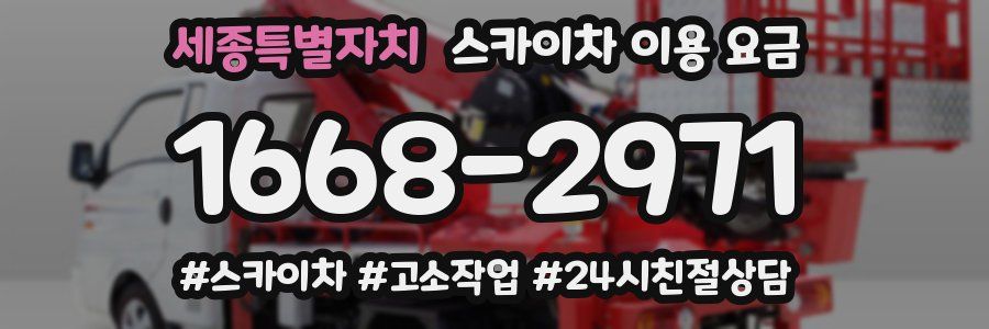 세종특별자치 스카이차 이용 요금