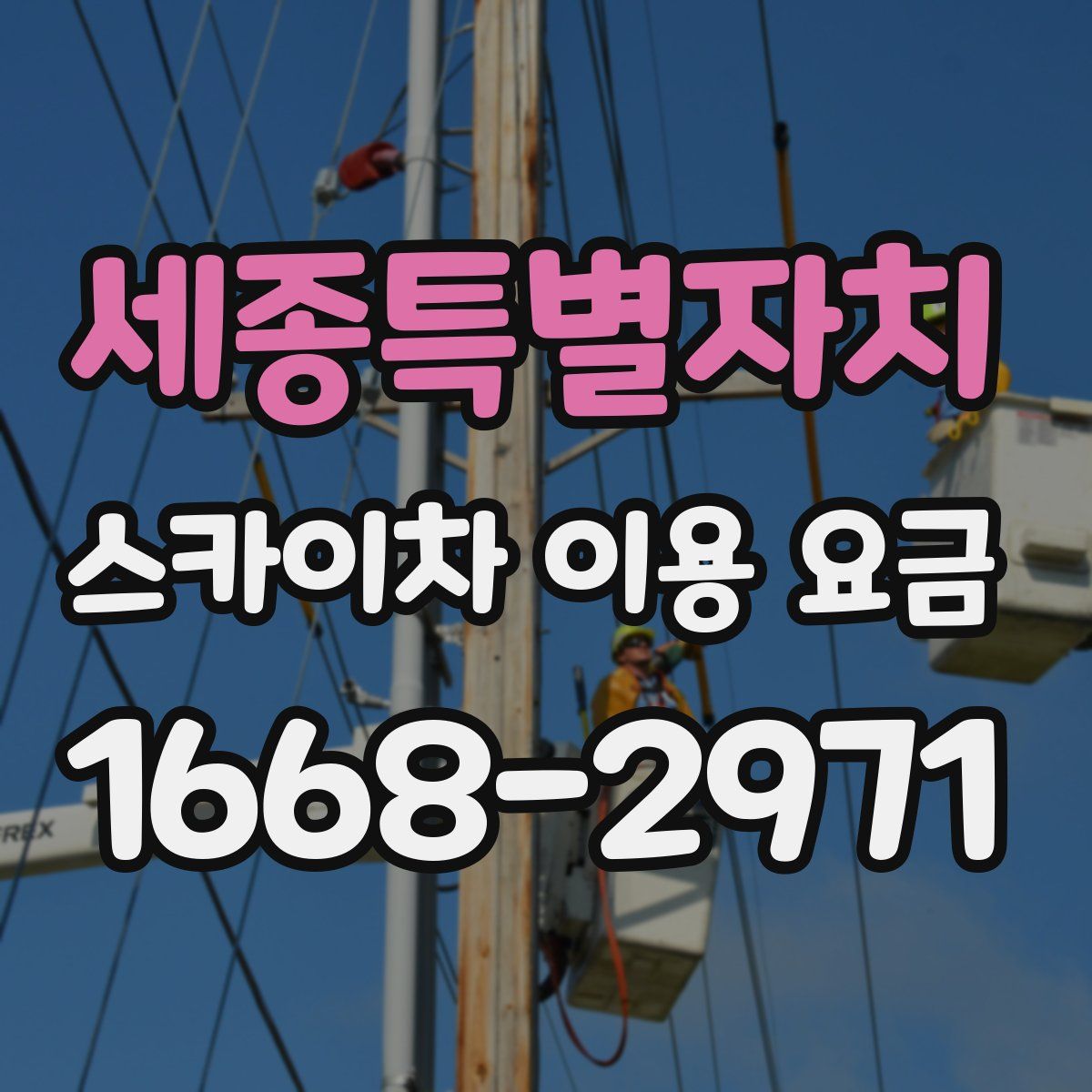 세종특별자치 스카이차 이용 요금