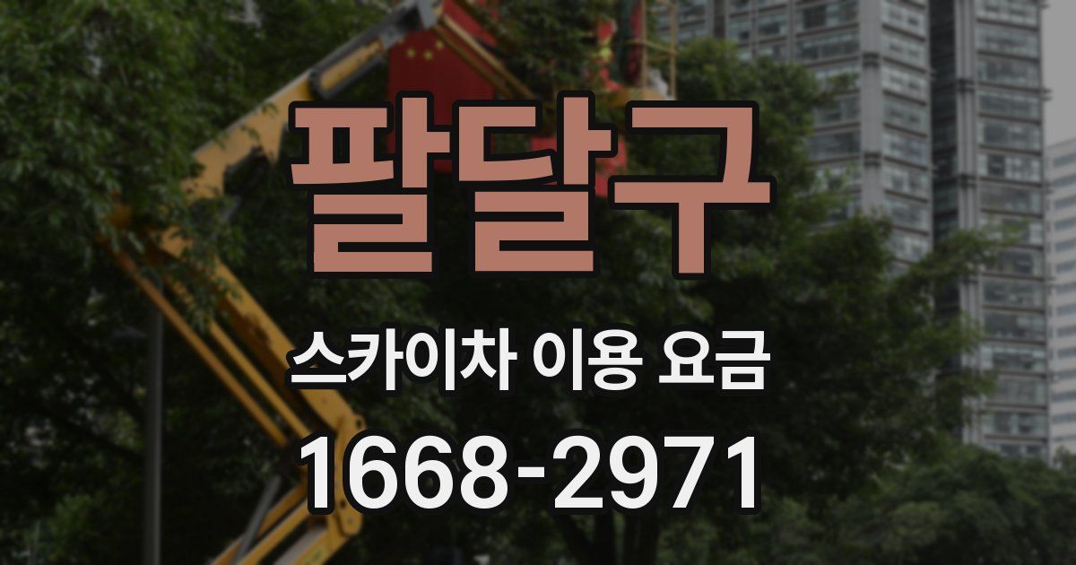 팔달구 스카이차 이용 요금