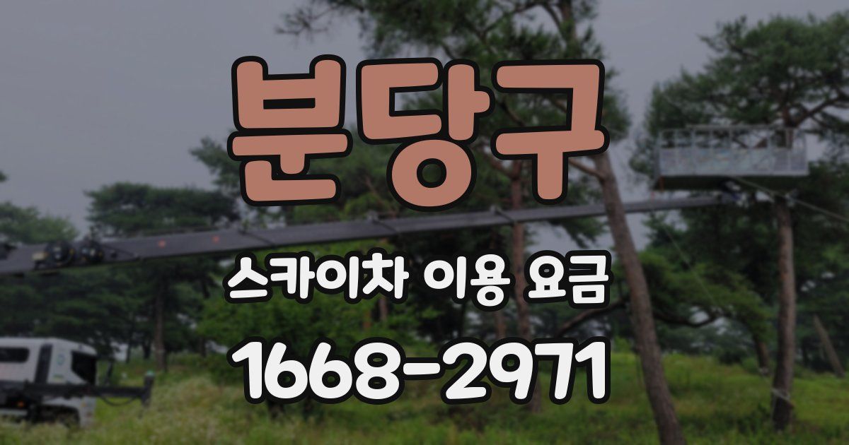 분당구 스카이차 이용 요금