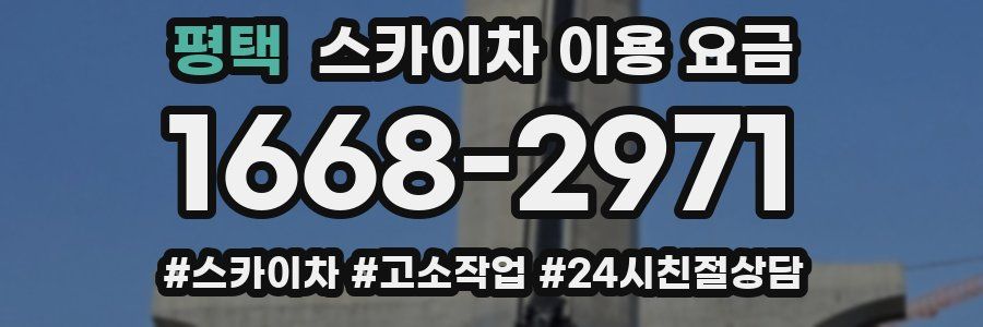 평택 스카이차 이용 요금