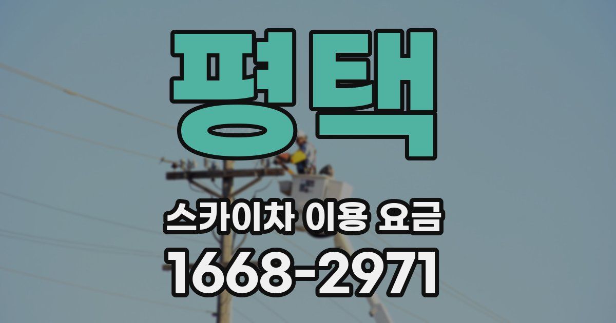 평택 스카이차 이용 요금
