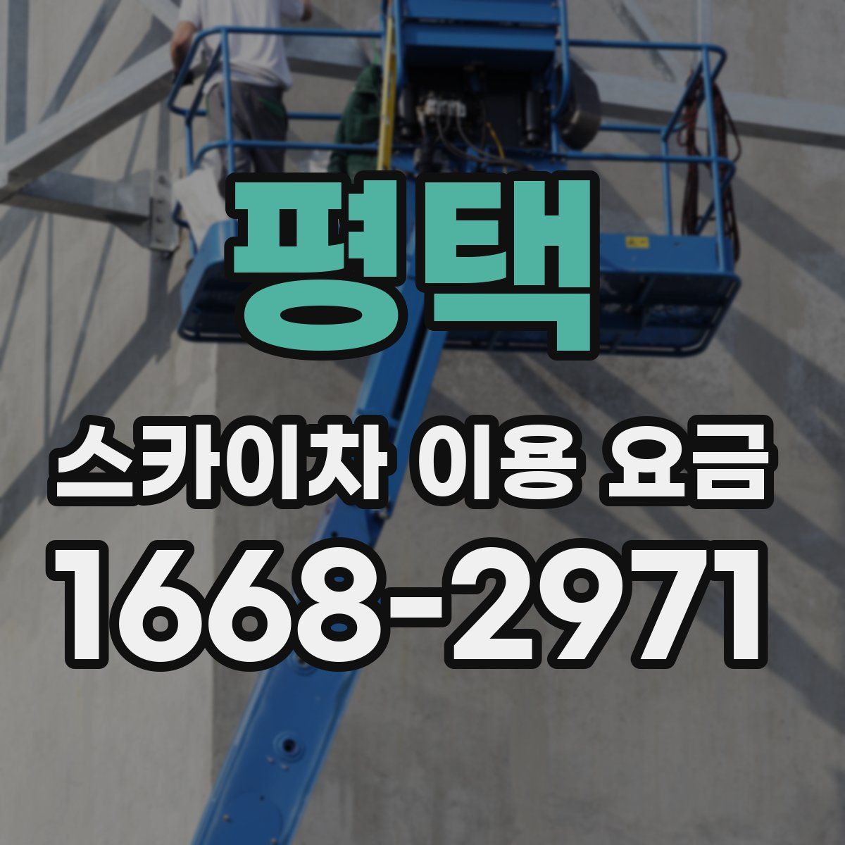 평택 스카이차 이용 요금