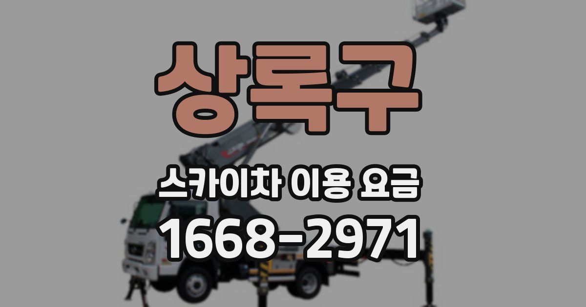 상록구 스카이차 이용 요금