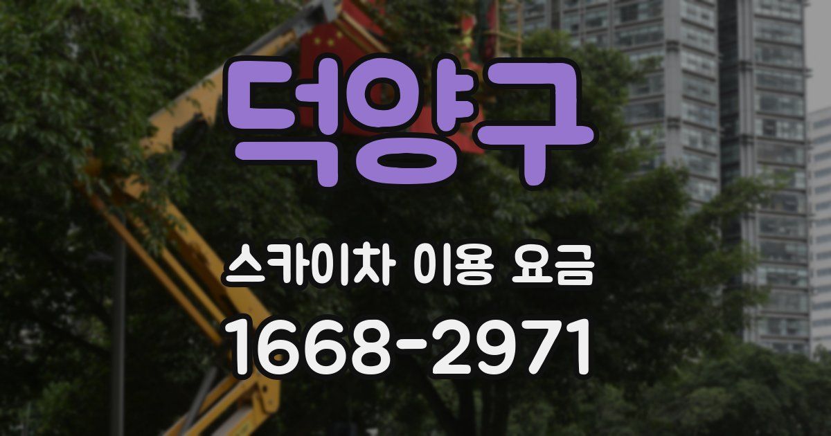 덕양구 스카이차 이용 요금