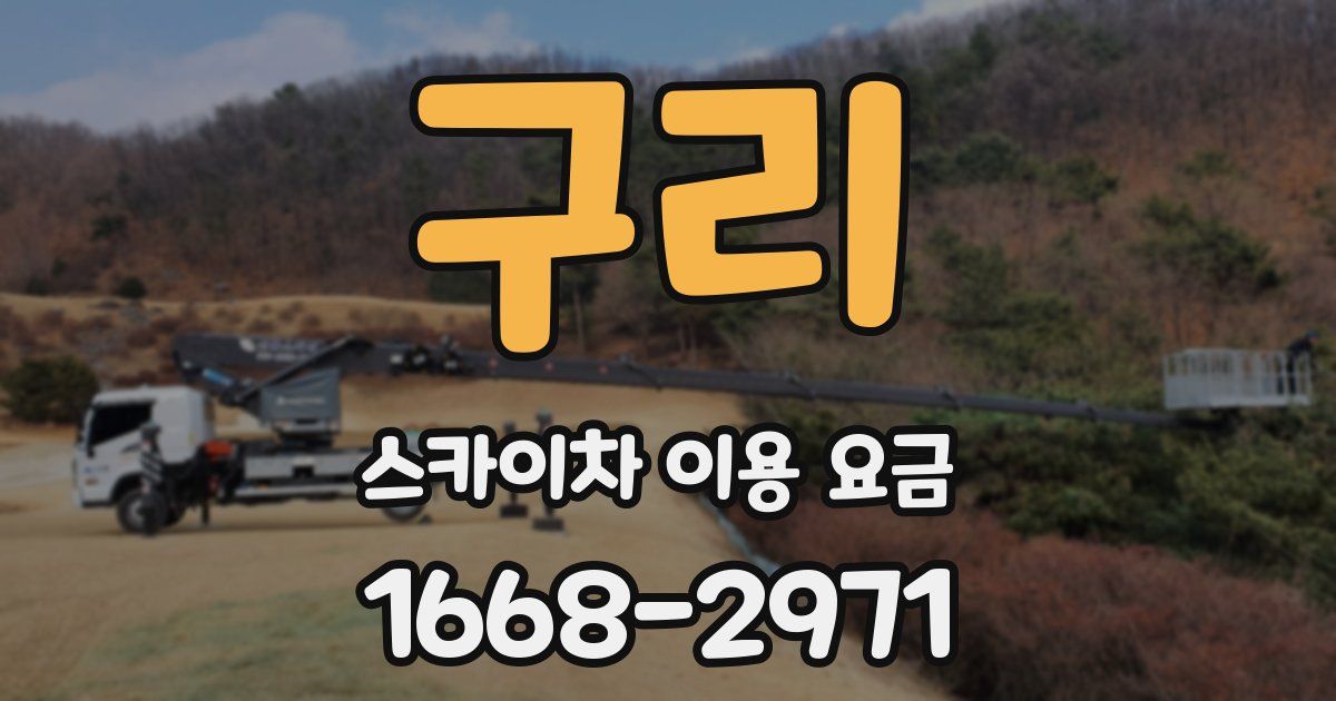 구리 스카이차 이용 요금
