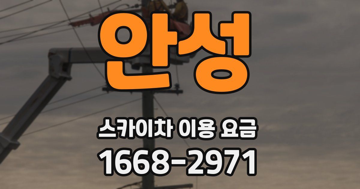 안성 스카이차 이용 요금
