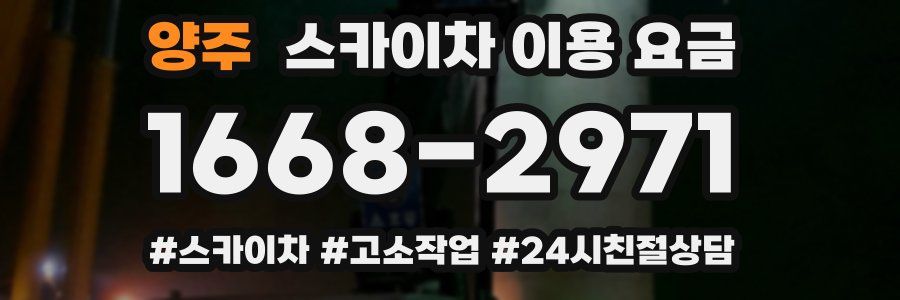 양주 스카이차 이용 요금