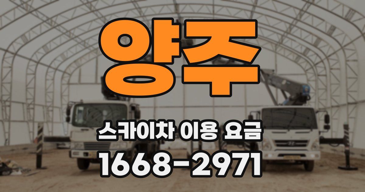 양주 스카이차 이용 요금