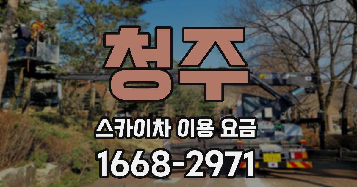 청주 스카이차 이용 요금
