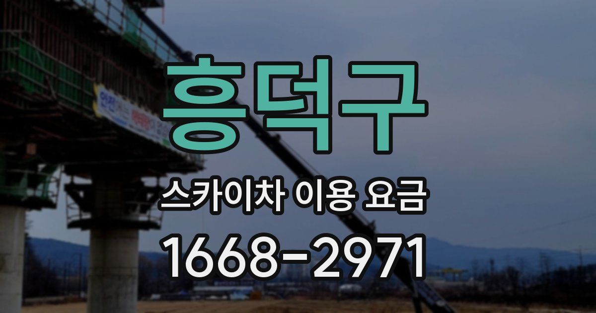 흥덕구 스카이차 이용 요금