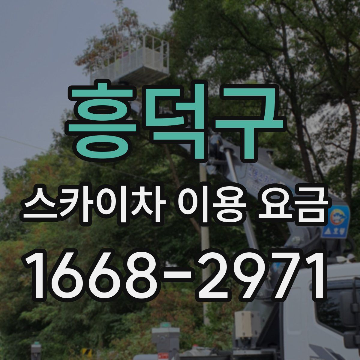 흥덕구 스카이차 이용 요금