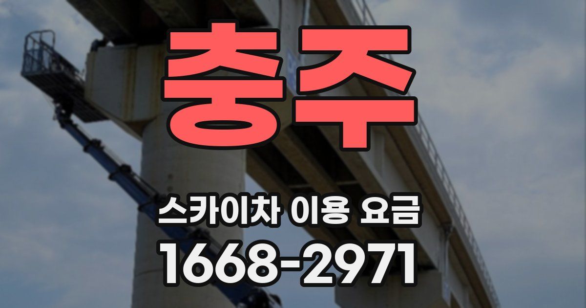 충주 스카이차 이용 요금