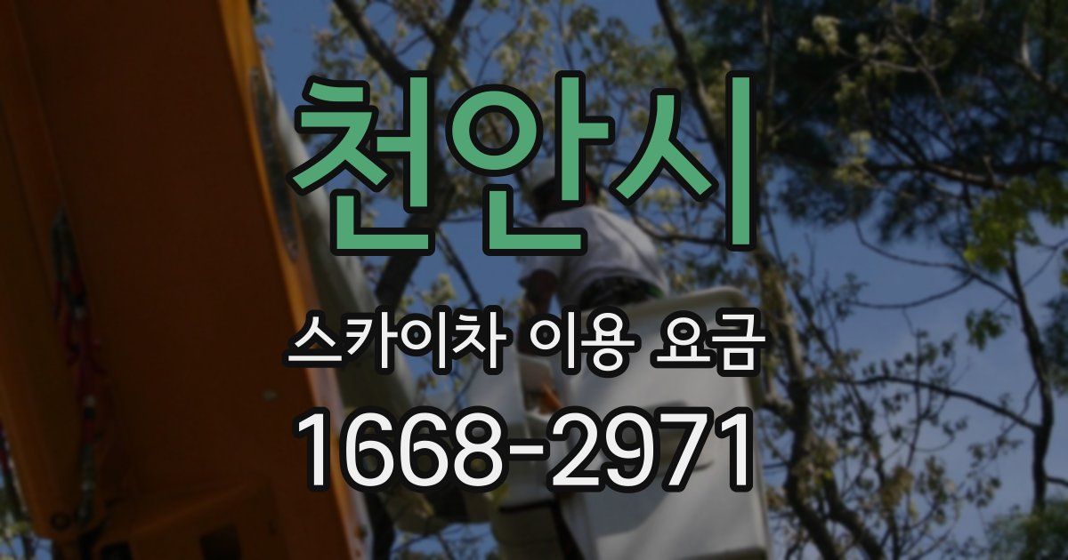 천안시 스카이차 이용 요금