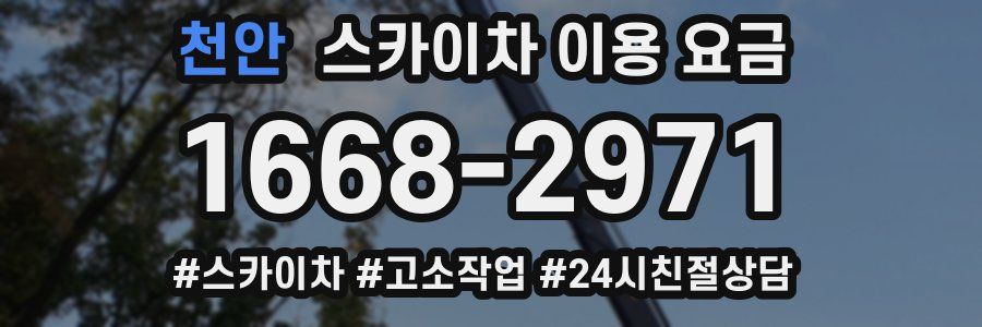 천안 스카이차 이용 요금