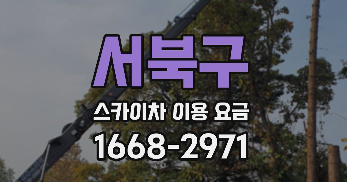 서북구 스카이차 이용 요금