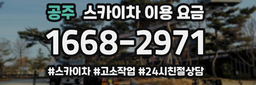 공주 스카이차 이용 요금