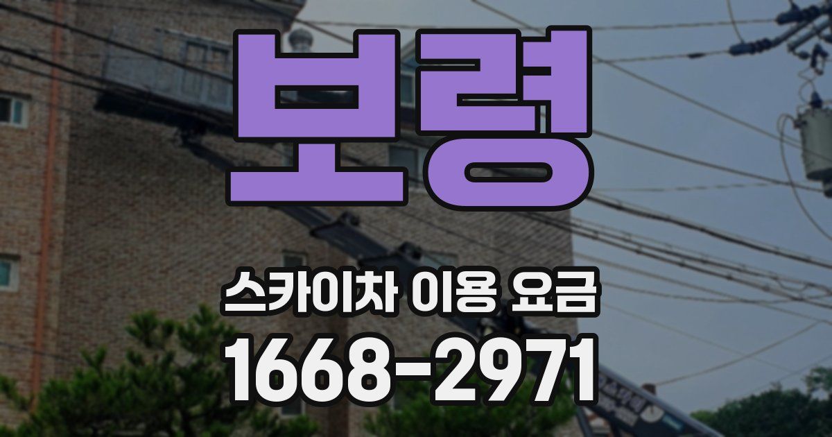 보령 스카이차 이용 요금