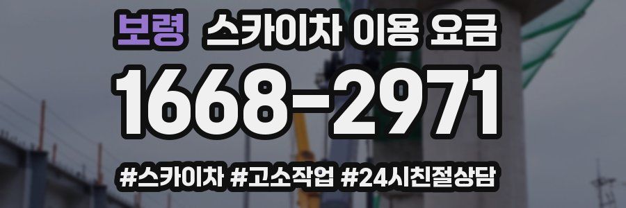보령 스카이차 이용 요금