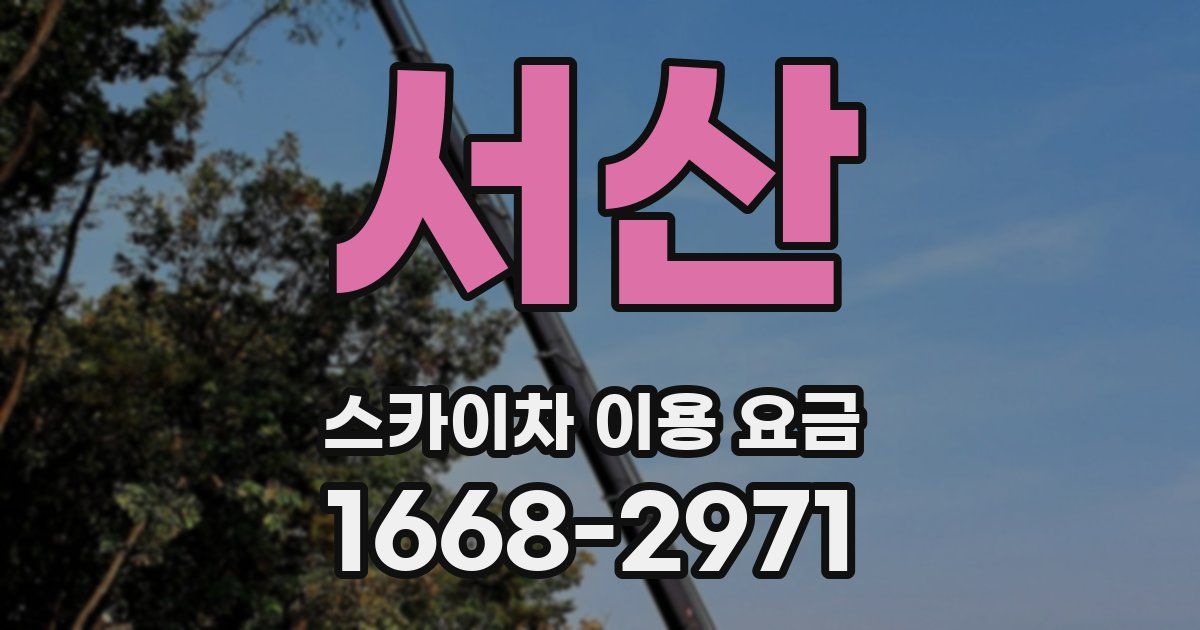 서산 스카이차 이용 요금