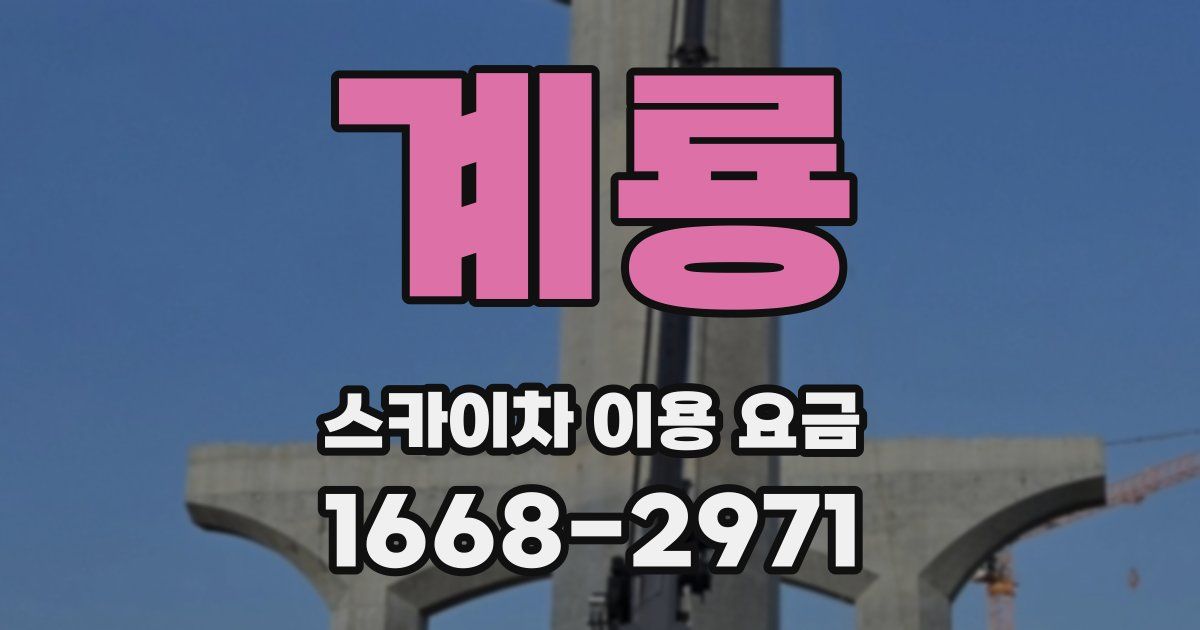 계룡 스카이차 이용 요금