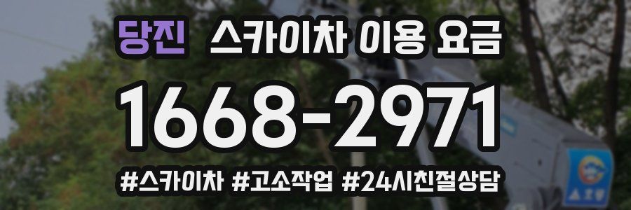 당진 스카이차 이용 요금