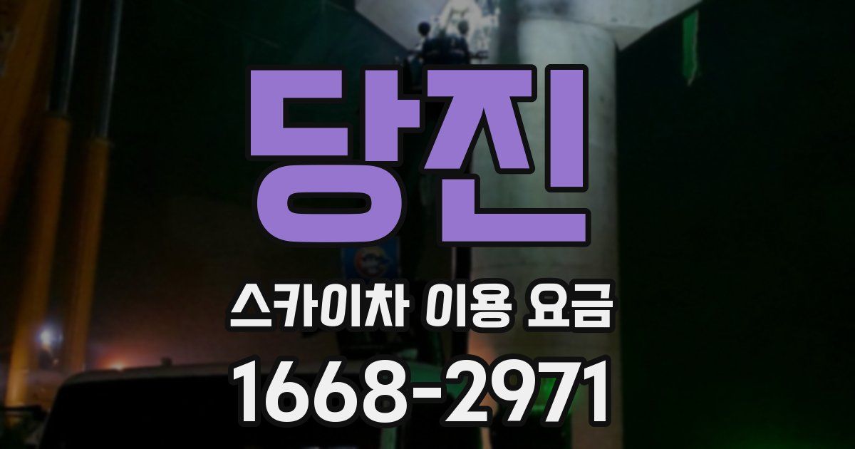 당진 스카이차 이용 요금