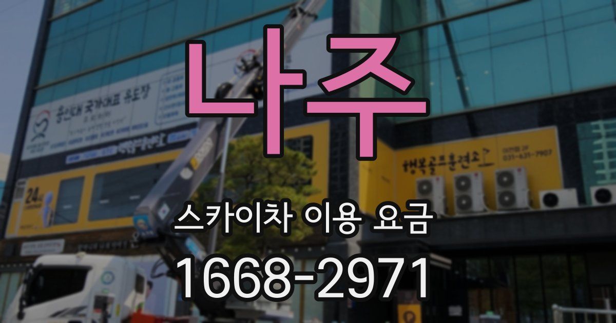 나주 스카이차 이용 요금