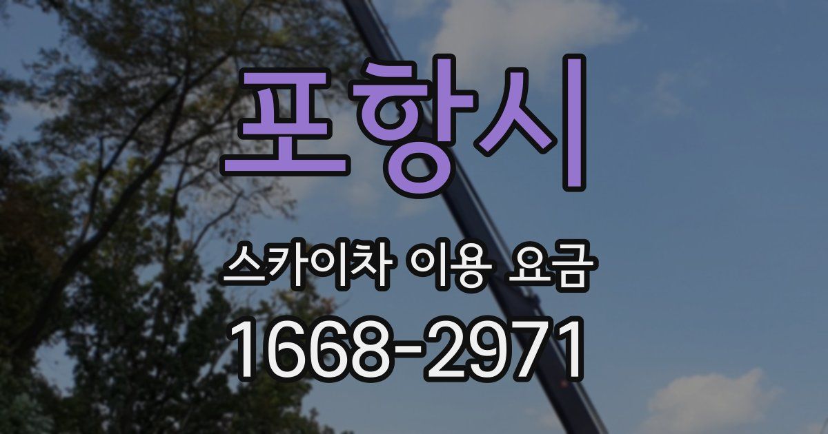 포항시 스카이차 이용 요금