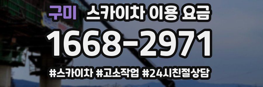 구미 스카이차 이용 요금