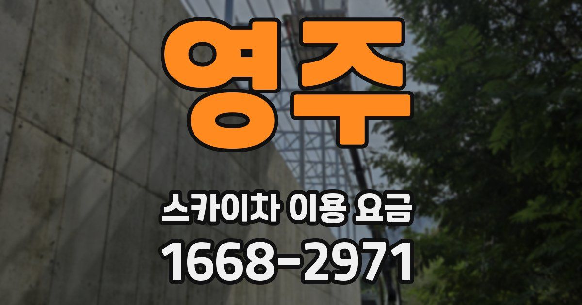 영주 스카이차 이용 요금
