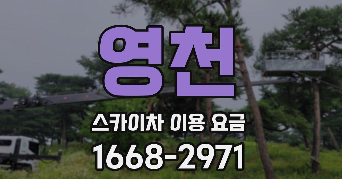 영천 스카이차 이용 요금