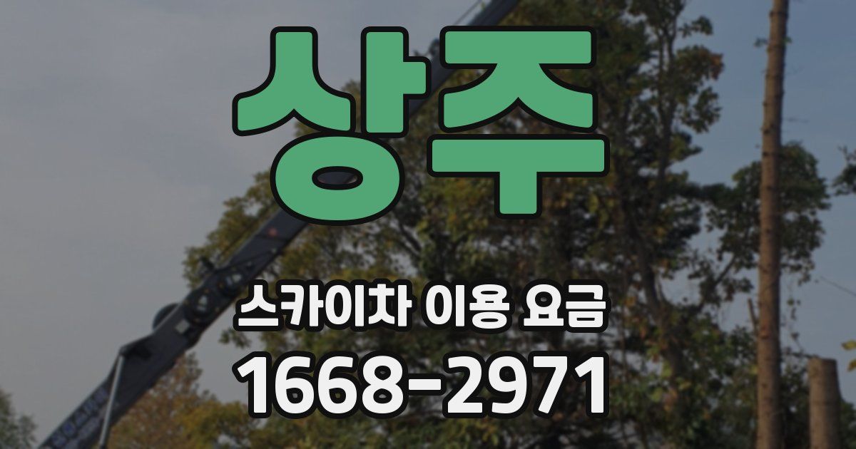 상주 스카이차 이용 요금