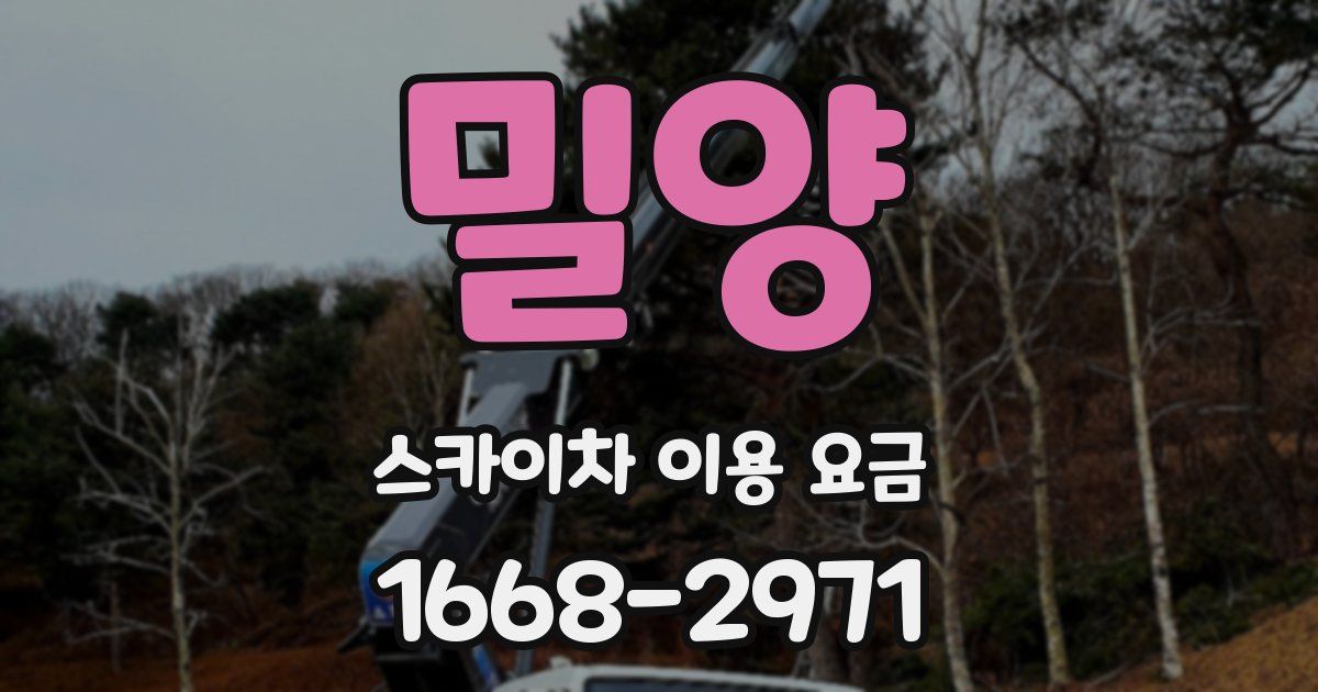 밀양 스카이차 이용 요금