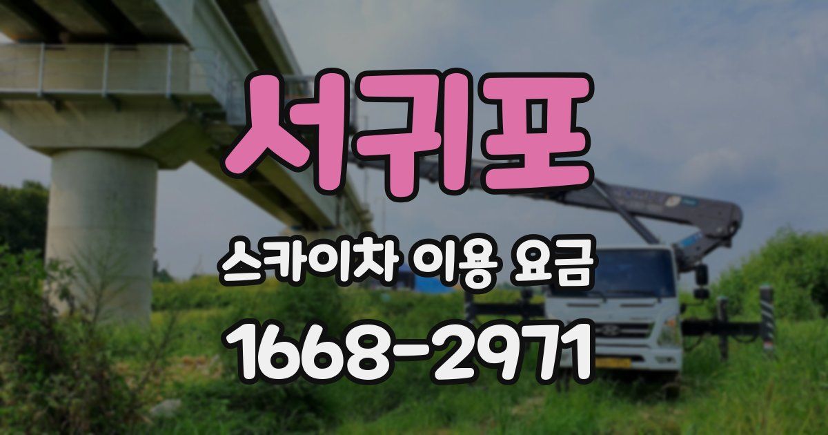 서귀포 스카이차 이용 요금