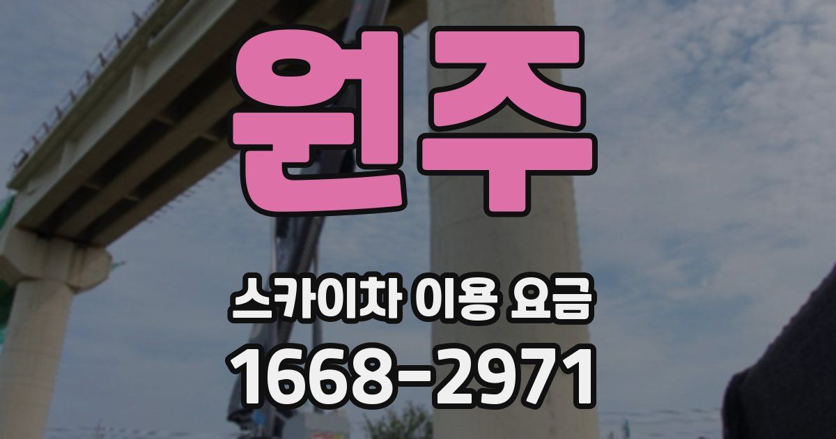원주 스카이차 이용 요금