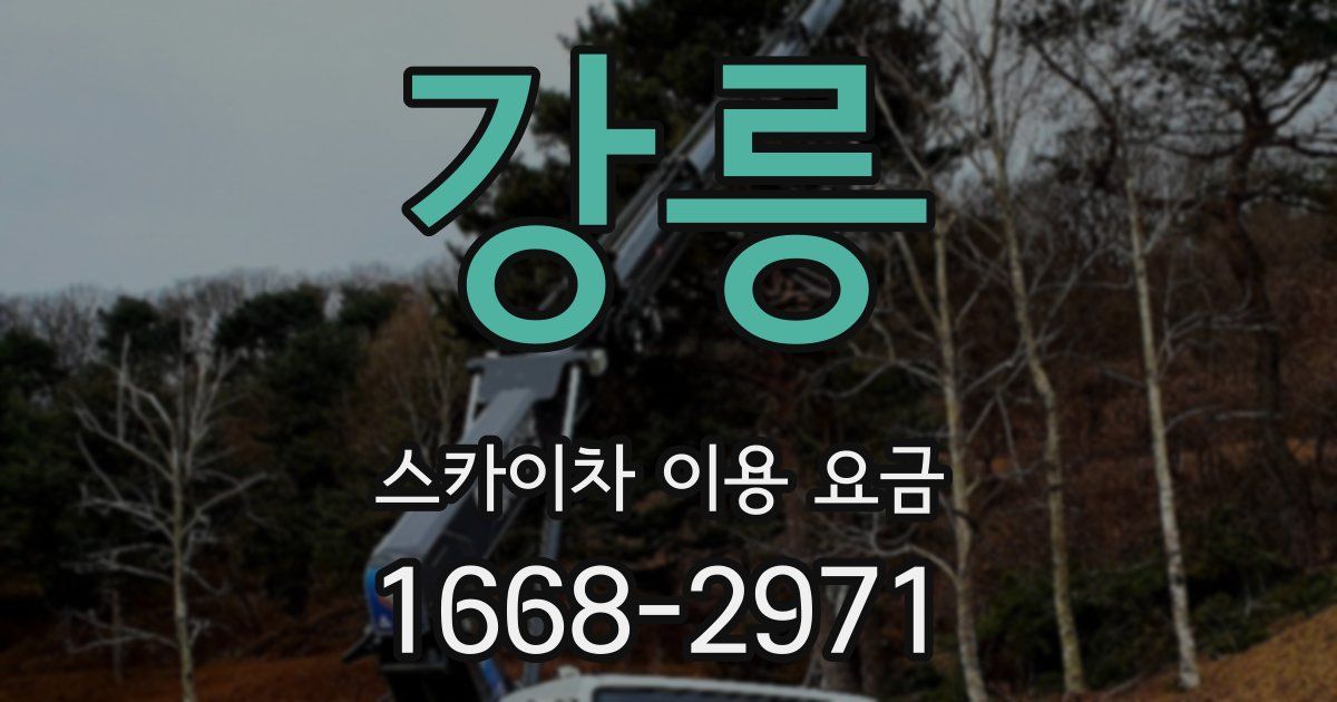 강릉 스카이차 이용 요금