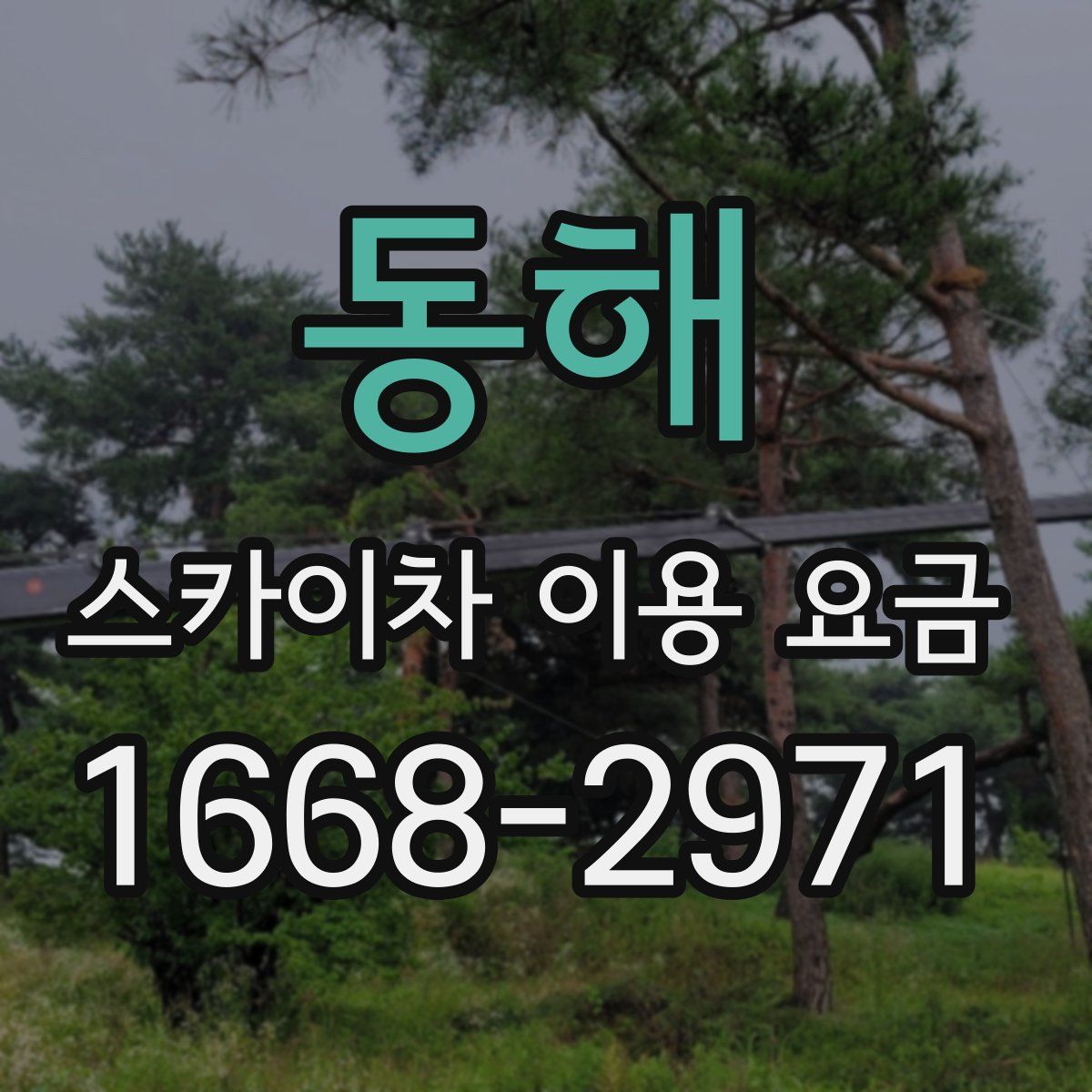 동해 스카이차 이용 요금