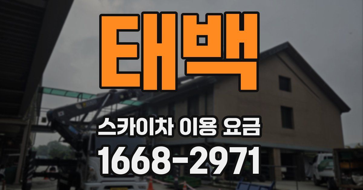 태백 스카이차 이용 요금