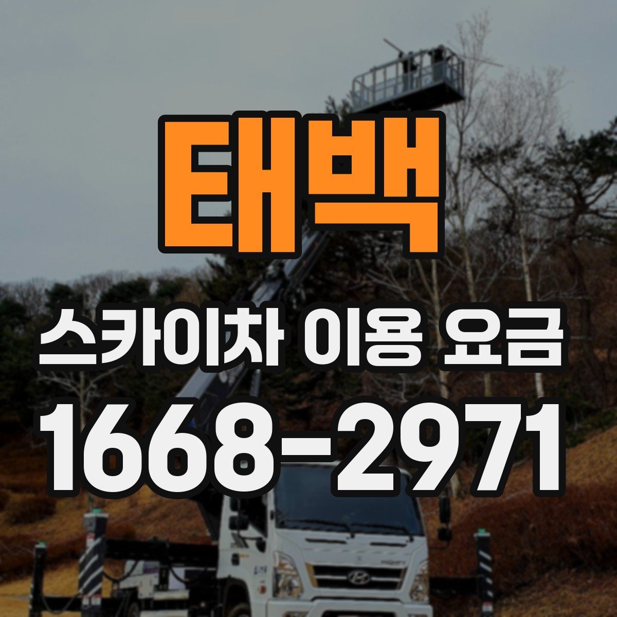 태백 스카이차 이용 요금