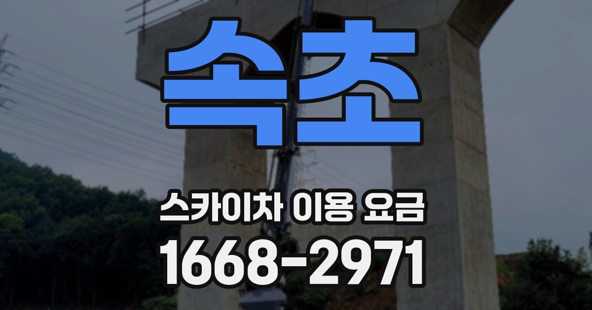 속초 스카이차 이용 요금