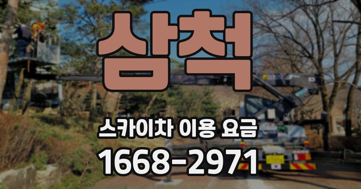 삼척 스카이차 이용 요금