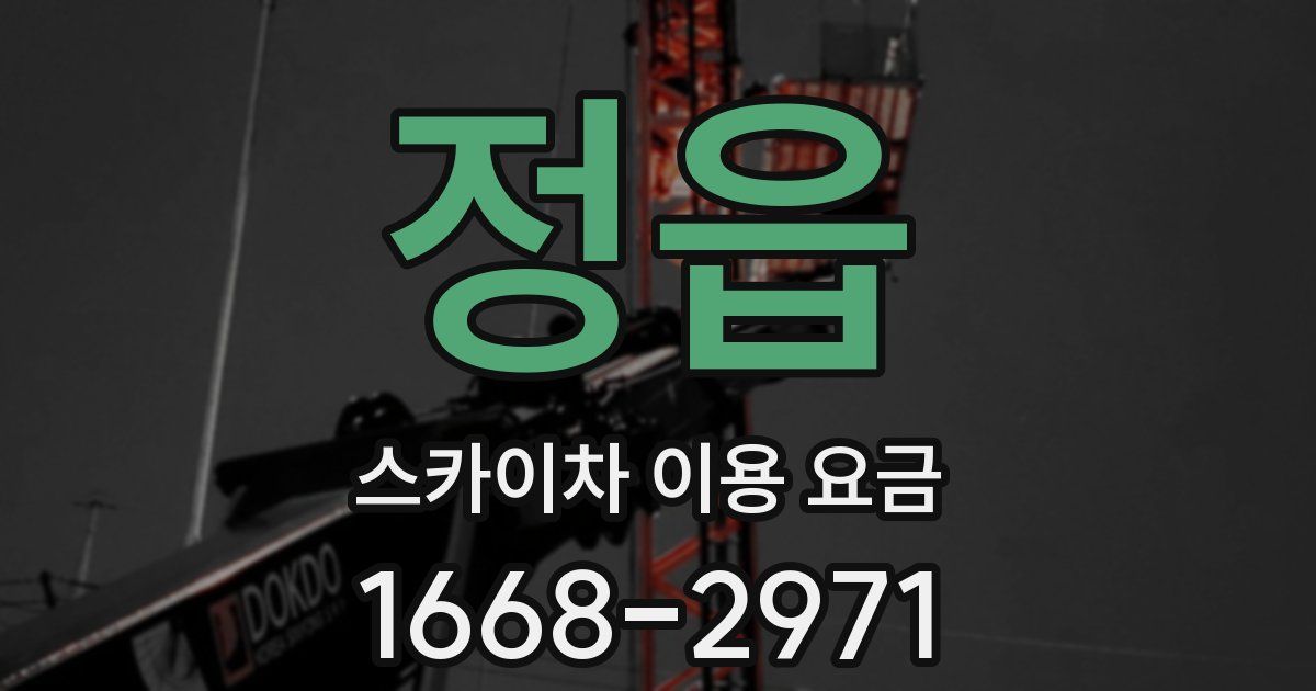 정읍 스카이차 이용 요금
